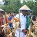 Wakil Gubernur NTT Johni Asadoma Panen Raya Jagung, Dukung Swasembada Pangan 