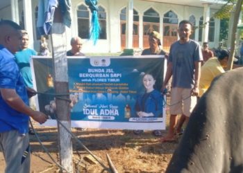 Solidaritas di Hari Raya: Julie Laiskodat dan Tradisi Kurban yang Menguatkan Masyarakat Flores Timur