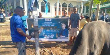 Solidaritas di Hari Raya: Julie Laiskodat dan Tradisi Kurban yang Menguatkan Masyarakat Flores Timur