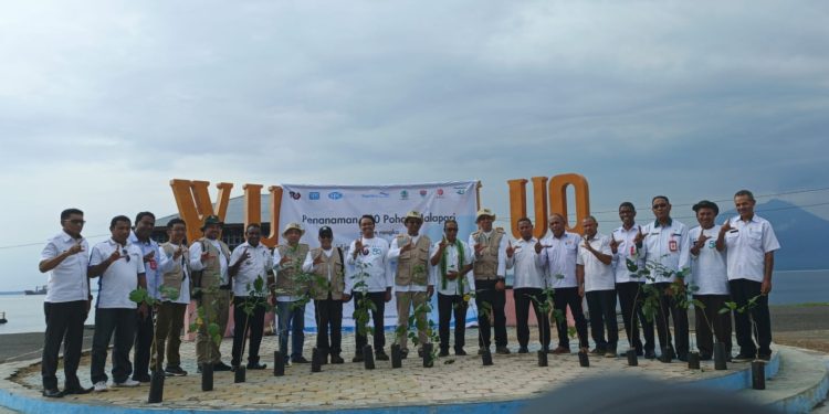 RUI Menanam 500 Bibit Malapari di Lembata Dalam Memperinga Hari Lingkungan Hidup Sedunia