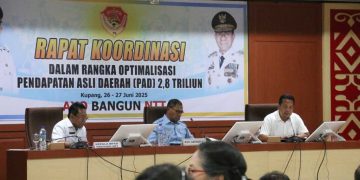 Wagub Johni Asadoma : Kerja Harus Dimulai Dari Sekarang Tingkatkan PAD