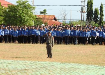 Ratusan Honorer Lembata Lolos Seleksi PPPK Tahap 2, Bersiap Menuju Penetapan Nomor Induk