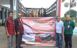 Rayakan Idul Adha 1446 H, Bupati Lembata Serahkan Hewan Kurban: Wujud Kepedulian dan Solidaritas Umat