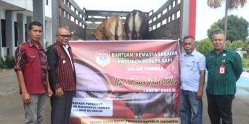 Rayakan Idul Adha 1446 H, Bupati Lembata Serahkan Hewan Kurban: Wujud Kepedulian dan Solidaritas Umat