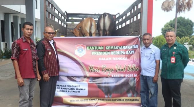 Rayakan Idul Adha 1446 H, Bupati Lembata Serahkan Hewan Kurban: Wujud Kepedulian dan Solidaritas Umat