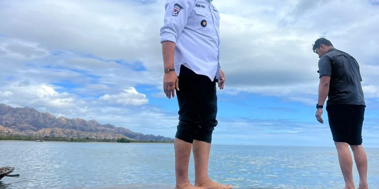 Bupati TTU Larang Warga Konsumsi Daging Ikan Paus yang Terdampar di Wini