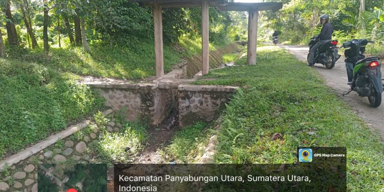 Irigasi Kering Bertahun, Petani Mompang Julu Gagal Panen: Dinas PUPR dan Pertanian Disorot