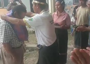 KESUKSESAN PEMBANGUNAN DI DESA, PROYEKSI KESUKSESAN PROGRAM NASIONAL, PROPINSI DAN KABUPATEN