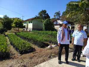 Wagub Asadoma Tinjau Balai Benih Hortikultura Oelbubuk