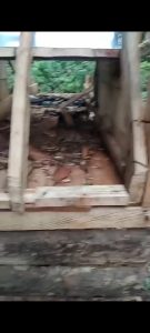 Usai Patroli Penertiban Tambang Ilegal, GM3 Apresiasi Langkah Tegas Balai TNBG