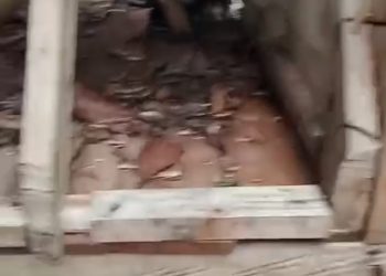 Usai Patroli Penertiban Tambang Ilegal, GM3 Apresiasi Langkah Tegas Balai TNBG