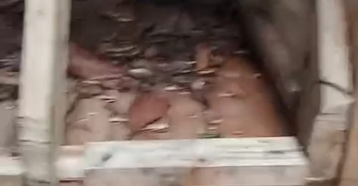 Usai Patroli Penertiban Tambang Ilegal, GM3 Apresiasi Langkah Tegas Balai TNBG