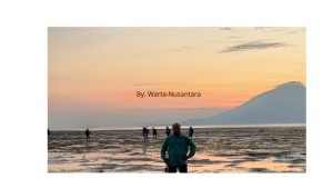 Tiba di Lembata : Puisi Linus Lusi Untuk Muro