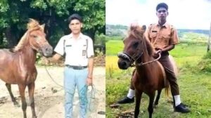 Rio Jonatan Adu, Viral Naik Kuda ke SMAN 1 Rote Barat Daya 