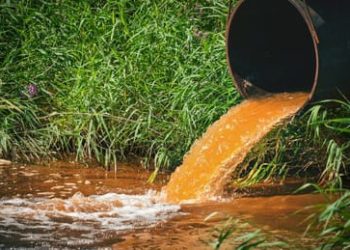 Krisis Air Bersih Desa Tanalein : “Warga Terpaksa Hidup dengan Air Kotor”