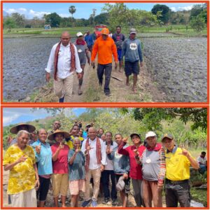 Bupati Tuaq Gerak Cepat Pulihkan Deker Kritis Waikomo, Asa Baru Para Petani 