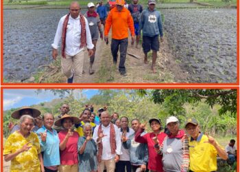 Bupati Tuaq Gerak Cepat Pulihkan Deker Kritis Waikomo, Asa Baru Para Petani 