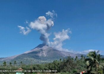 Gunung Lewotobi Erupsi, Bandara Lembata Terganggu, Semburkan Abu Vulkanik 2,5 Km