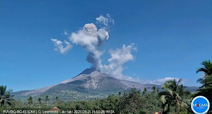 Gunung Lewotobi Erupsi, Bandara Lembata Terganggu, Semburkan Abu Vulkanik 2,5 Km