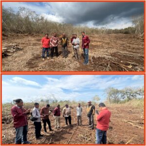 Bupati Tuaq Ubah Hutan Tidur Wuakerong Jadi Lahan Pertanian