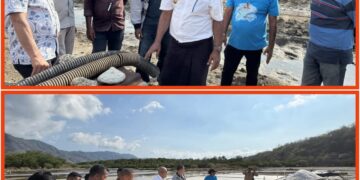 Bupati Tuaq Tinjau Perluasan Tambak Garam Tapobaran, Target 2028 Lembata Mandiri Garam