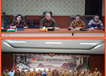Gubernur NTT dan Tim Tidal Bridge, Bahas Proyek Pembangkit Listrik Tenaga Arus Laut Larantuka