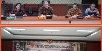 Gubernur NTT dan Tim Tidal Bridge, Bahas Proyek Pembangkit Listrik Tenaga Arus Laut Larantuka