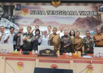 Menuju Kedaulatan Energi, UGM Dorong Flores Jadi Pusat Geotermal Nasional