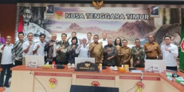 Menuju Kedaulatan Energi, UGM Dorong Flores Jadi Pusat Geotermal Nasional