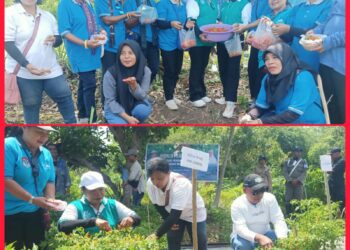 Panen Perdana Cabai di Lembata: Bupati Kanis Tuaq Apresiasi Peran PKK Kendalikan Inflasi dan Berdayakan Keluarga