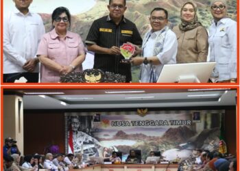 Gubernur NTT Terima Kunjungan Kerja Reses Komisi VII DPR RI