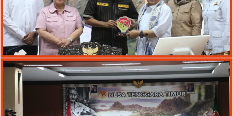 Gubernur NTT Terima Kunjungan Kerja Reses Komisi VII DPR RI