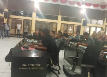 Ketua Fraksi PSI DPRD Ende Kritik Soal Hak Interpelasi Bukan Forum Anministratif, Tapi Pertanggungjawaban Kepala Daerah