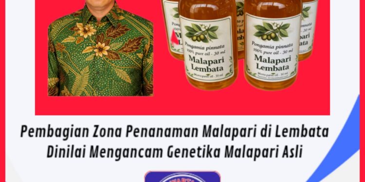 Pembagian Zona Penanaman Malapari di Lembata Dinilai Mengancam Genetika Malapari Asli