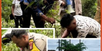 Partai Gerindra NTT Gerakan Penghijauan Massal Sambut HUT ke-18