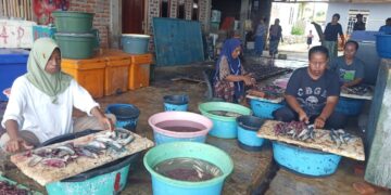 Bantuan Pukat-Alat Tangkap dari APBD 2025 Berhasil Tingkatkan Pendapatan Nelayan Lembata