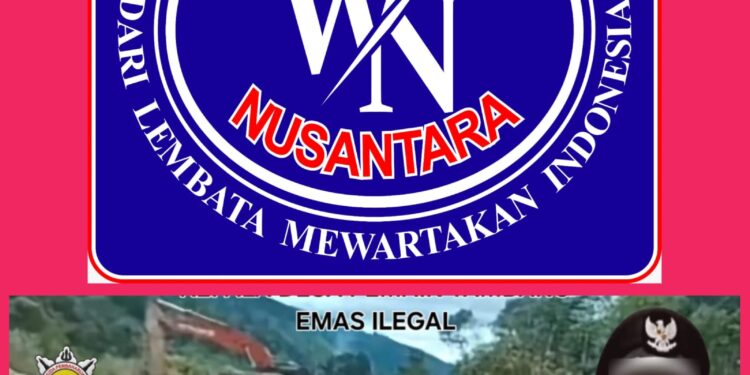 “Penegakan Hukum Dipertanyakan, SATMA AMPI Madina Soroti Dugaan PETI Oknum Kades”, Desak Kapolres Turun Tangan