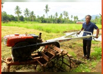 Bantuan Alsintan Pemkab Lembata Dongkrak Produksi Padi Petani Waikomo