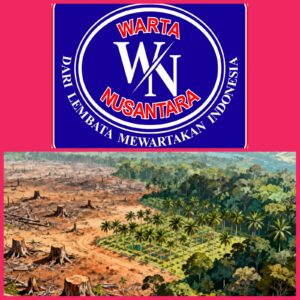 Tanpa Amdal, PT RPR Diduga Buka Hutan Primer Dekat Hutan Lindung Muara Batang Gadis Sumut