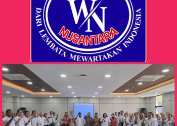 Papua Selatan Butuh Rumah Sakit Standar Internasinal