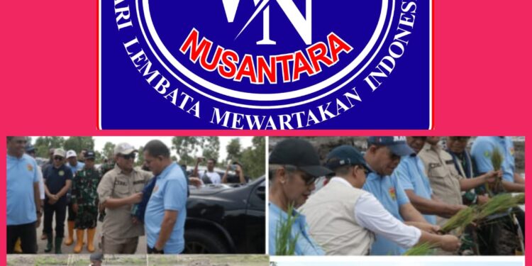 Gerakan Tanam Padi Serentak Langkah Kolaboratif Perkuat Swasembada Pangan NTT