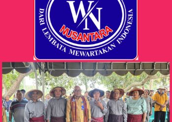 Sawah Menguning, Jalan Rusak: Kesenjangan Infrastruktur Mengancam Ketahanan Pangan Waikomo