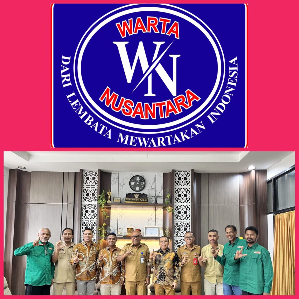 Seribu Ton Jagung Hibrida Siap Dipanen di Lembata, Kemitraan PT SMJ Libatkan Seribu Petani