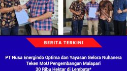 PT Nusa Energindo Optima dan Yayasan Gelora Nuhanera Teken MoU Pengembangan Malapari 30 Ribu Hektar di Lembata
