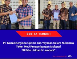 PT Nusa Energindo Optima dan Yayasan Gelora Nuhanera Teken MoU Pengembangan Malapari 30 Ribu Hektar di Lembata