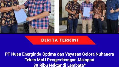 PT Nusa Energindo Optima dan Yayasan Gelora Nuhanera Teken MoU Pengembangan Malapari 30 Ribu Hektar di Lembata