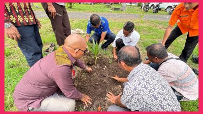 Aksi Tanam Pohon Warnai HUT ke-57 Bupati Lembata, Ajak Masyarakat Peduli Lingkungan
