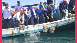 PLAN Lembata Gelar Festival Muro : Tanam 95 Terumbu Karang dan 400 Mangrove 