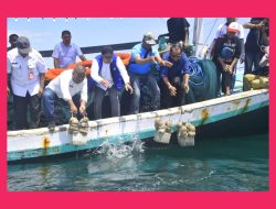 PLAN Lembata Gelar Festival Muro : Tanam 95 Terumbu Karang dan 400 Mangrove 