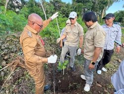 Pemkab Lembata Dorong Pengembangan Jambu Mente, Investor Lakukan Monitoring dan Survei Lapangan